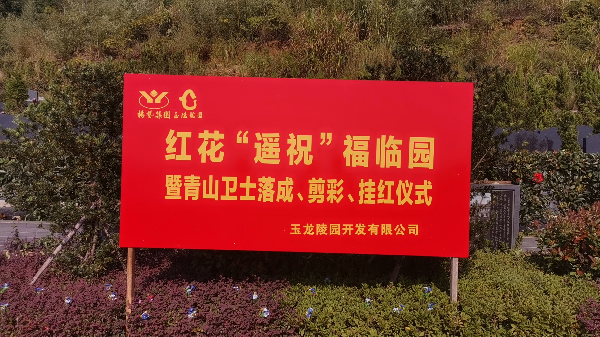 红花传爱意，情满玉龙园！