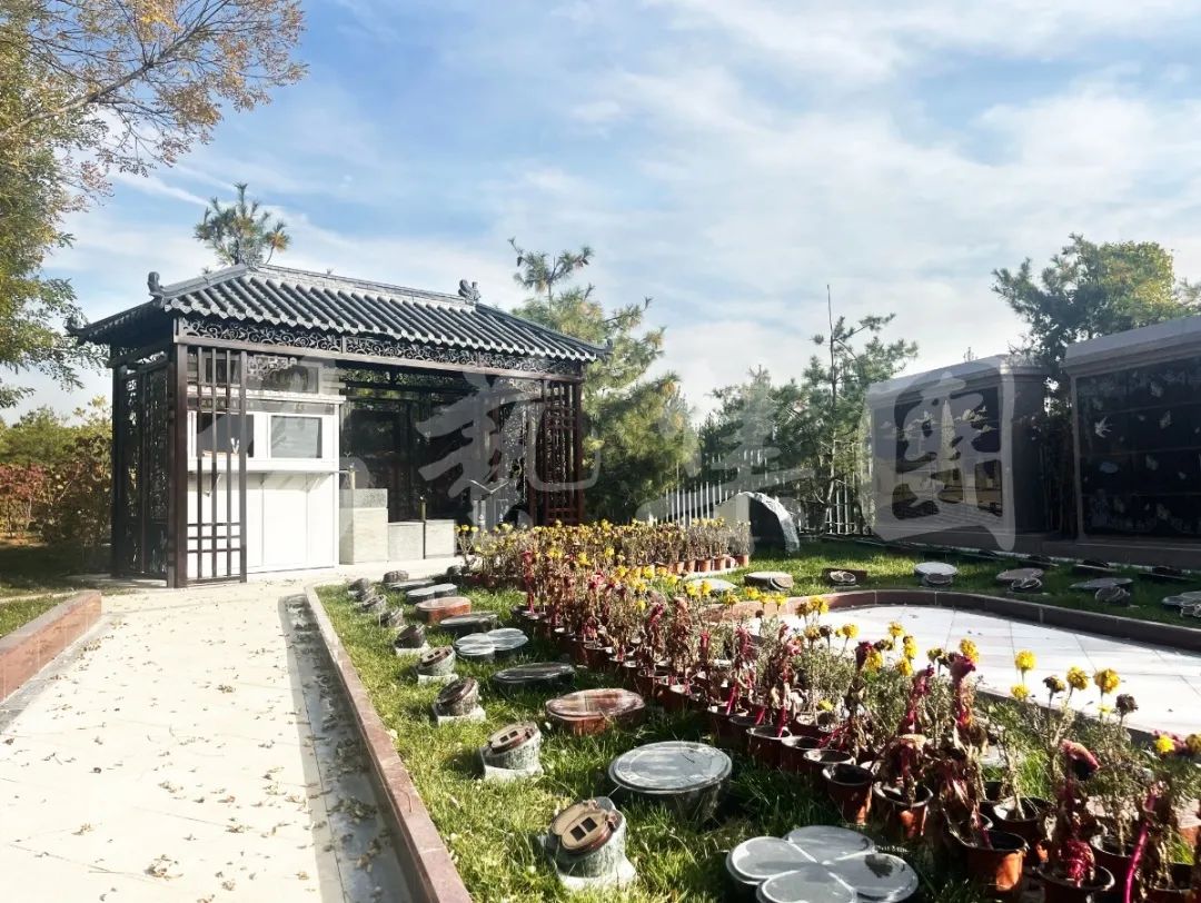 首页 | J9集团有限公司官网