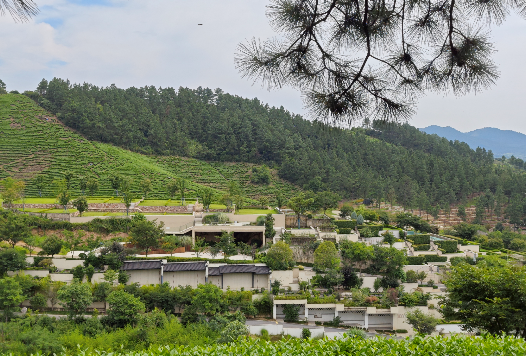 首页 | J9集团有限公司官网