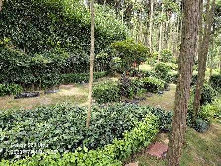 首页 | J9集团有限公司官网