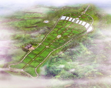 J9集团集团：公墓投资的践行者，经营治理的内行