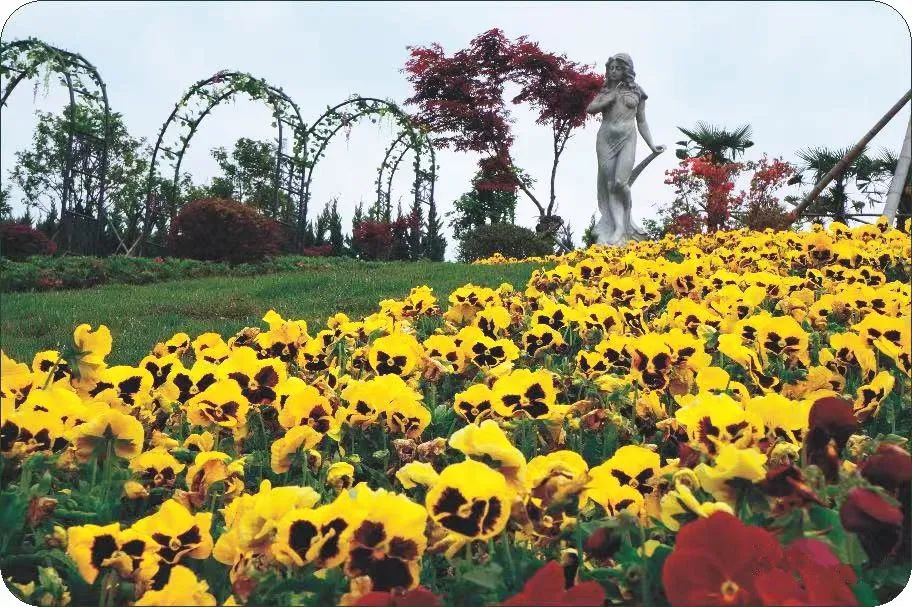 首页 | J9集团有限公司官网