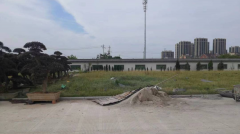 老墓园微刷新，助力城市人文关切