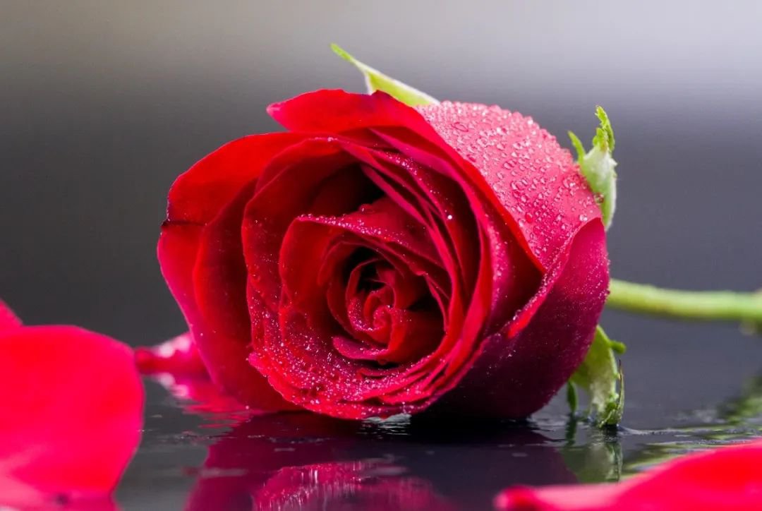 女神节 | 致敬“她”力量，共筑美好将来