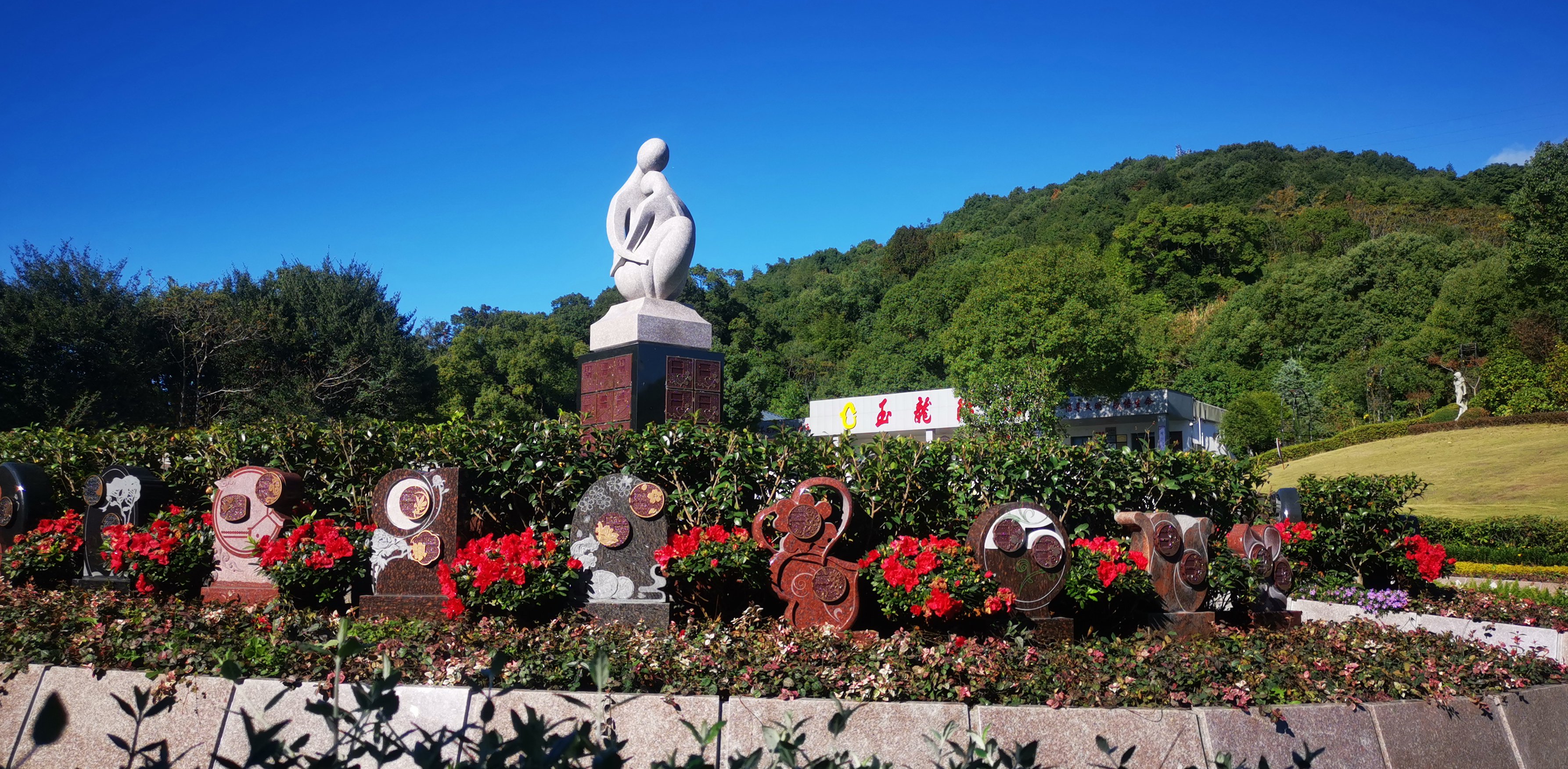 将来，生态葬或将成为主流