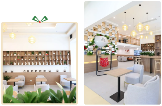 首页 | J9集团有限公司官网