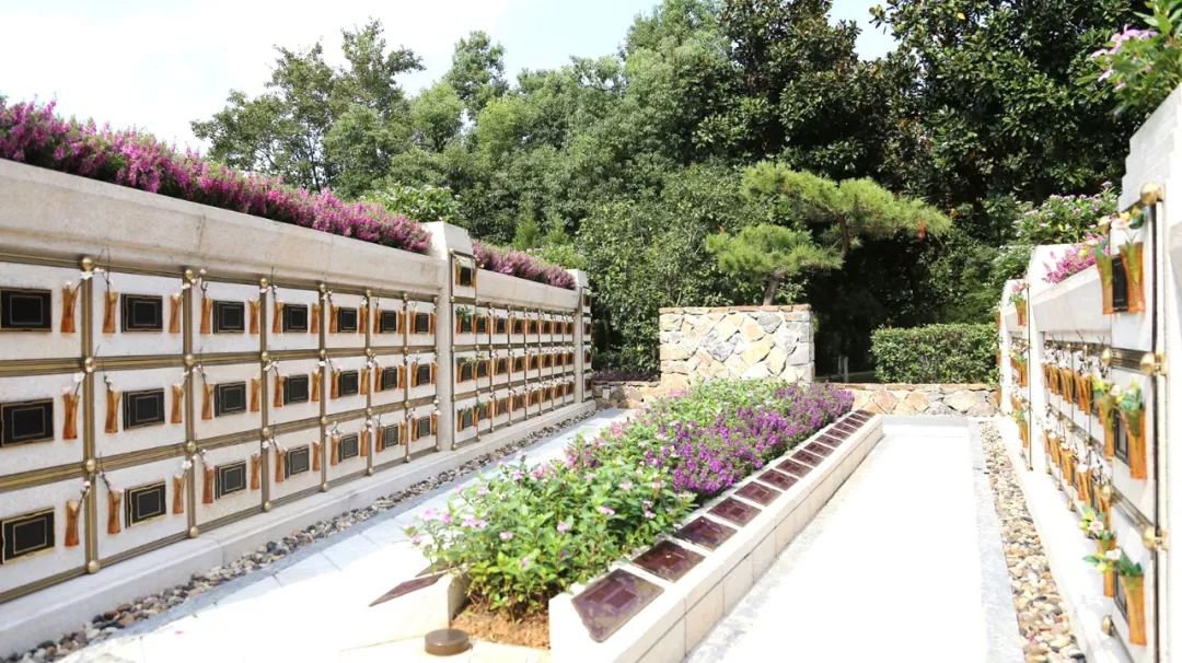 <b>在合肥大蜀山文化陵寝，与性命温顺对话</b>