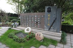 致敬“安然卫士”，铭刻“刑警之魂”