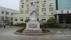 石雕匠心，镌刻医者风华