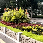 无机仿真石花箱：以永恒之名，塑将来之境